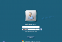 Windows Server 2008 Datacenter, Enterprise and Standard without Hyper-V