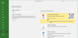 Microsoft Project Professional 2016