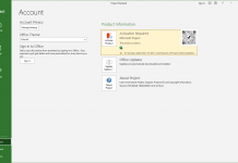 Microsoft Project Standard 2019