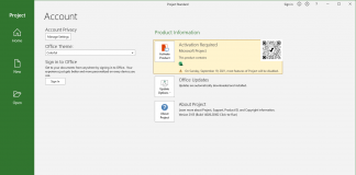 Microsoft Project Standard 2019
