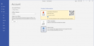 Microsoft Visio Standard 2019