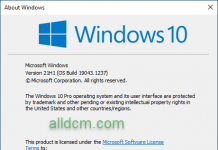 Windows 10 Version 21H1 Consumer Editions (OS Build 19043.1237 – 2021.09)
