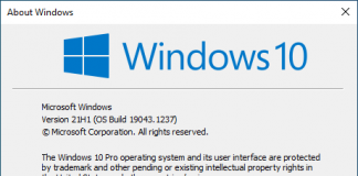 Windows 10 Version 21H1 Consumer Editions (OS Build 19043.1237 – 2021.09)