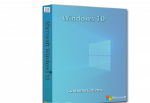 Windows 10 Version 2009 (20H2) Consumer Editions (OS Build 19042.631 – 2020.11)