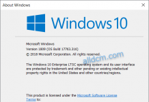 Windows 10 Enterprise LTSC 2019 Version 1089 (OS Build 17763.316)