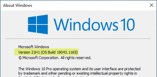 Windows 10 Version 21H1 Consumer Editions (OS Build 19043.1165 – 2021.08)