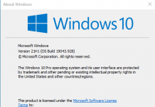 Windows 10 Version 21H1 Consumer Editions (OS Build 19043.928 – 2021.05)