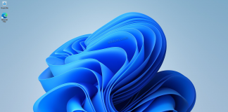 Windows 11 Version 21H2 Consumer & Business Editions (OS Build 22000.258)