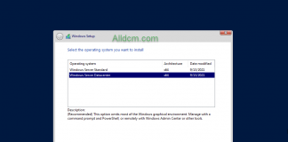 Windows Server, Version 20H2 Updated 09-2021 (OS Build 19042.1237)