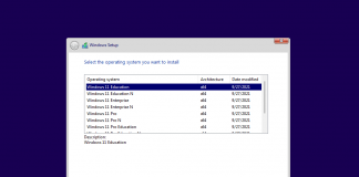 Windows 11 Version 21H2 Final – OS Build 22000.194 (Consumer & Business Editions)