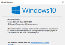 Windows 10 Version 21H2 Business & Consumer Editions (OS Build 19044.1288)