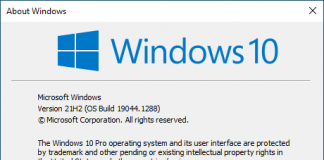 Windows 10 Version 21H2 Business & Consumer Editions (OS Build 19044.1288)