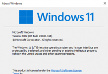 Windows 11 Version 21H2 OS Build 22000.318 (Business, Consumer, IoT Editions)