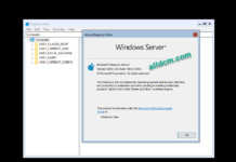 Windows Server Version 20H2 Updated 11-2021 (OS Build 19042.1348)