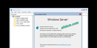 Windows Server Version 20H2 Updated 11-2021 (OS Build 19042.1348)