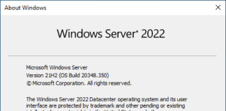 Windows Server 2022 Version 21H2 (OS Build 20348.350)