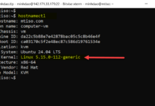 CÁCH NÂNG CẤP UBUNTU SERVER 22.04 LTS LÊN UBUNTU SERVER 24.04 LTS.