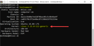 CÁCH NÂNG CẤP UBUNTU SERVER 22.04 LTS LÊN UBUNTU SERVER 24.04 LTS.
