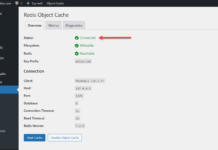 CÀI ĐẶT REDIS CACHE TRÊN UBUNTU SERVER 24.04 LTS