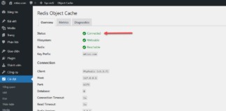CÀI ĐẶT REDIS CACHE TRÊN UBUNTU SERVER 24.04 LTS