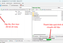SAO LƯU CƠ SỞ DỮ LIỆU VÀ MÃ NGUỒN WEBSITE TRÊN UBUNTU SERVER 24.04 LTS.