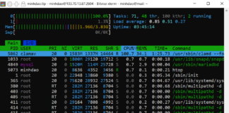CÀI ĐẶT, THIẾT LẬP AMAVIS VÀ CLAMAV TRÊN UBUNTU SERVER 24.04 LTS.